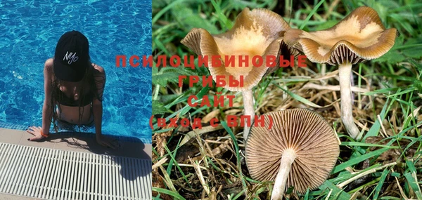 jwh Майский