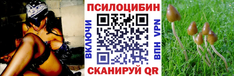 купить  цена  Черногорск  Псилоцибиновые грибы Magic Shrooms 