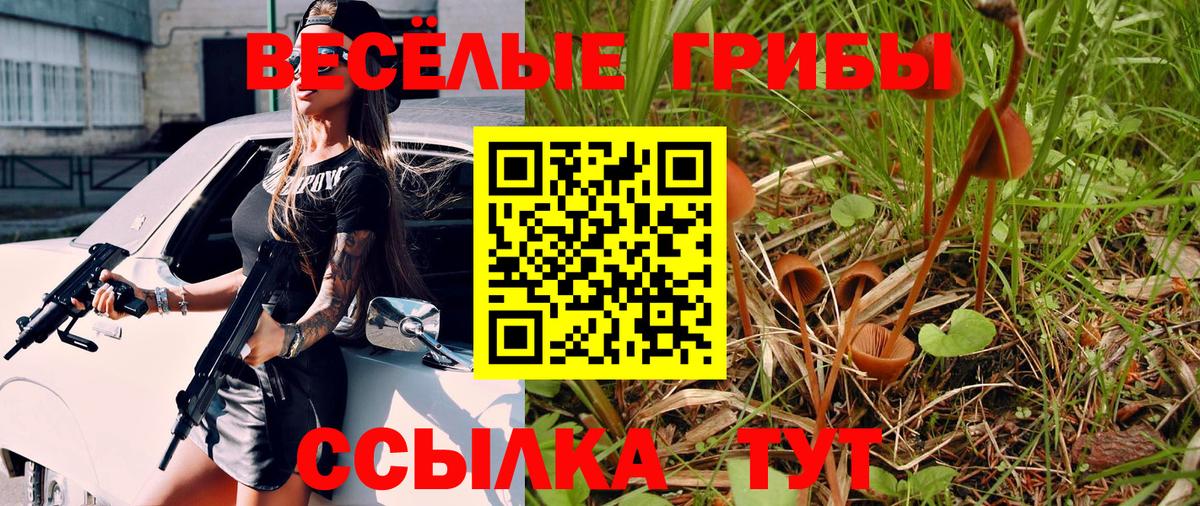 Галлюциногенные грибы прущие грибы Черногорск