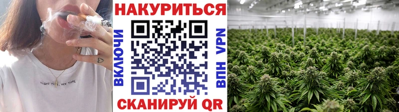 МАРИХУАНА конопля цена наркотик кракен вход площадка какой сайт Черногорск